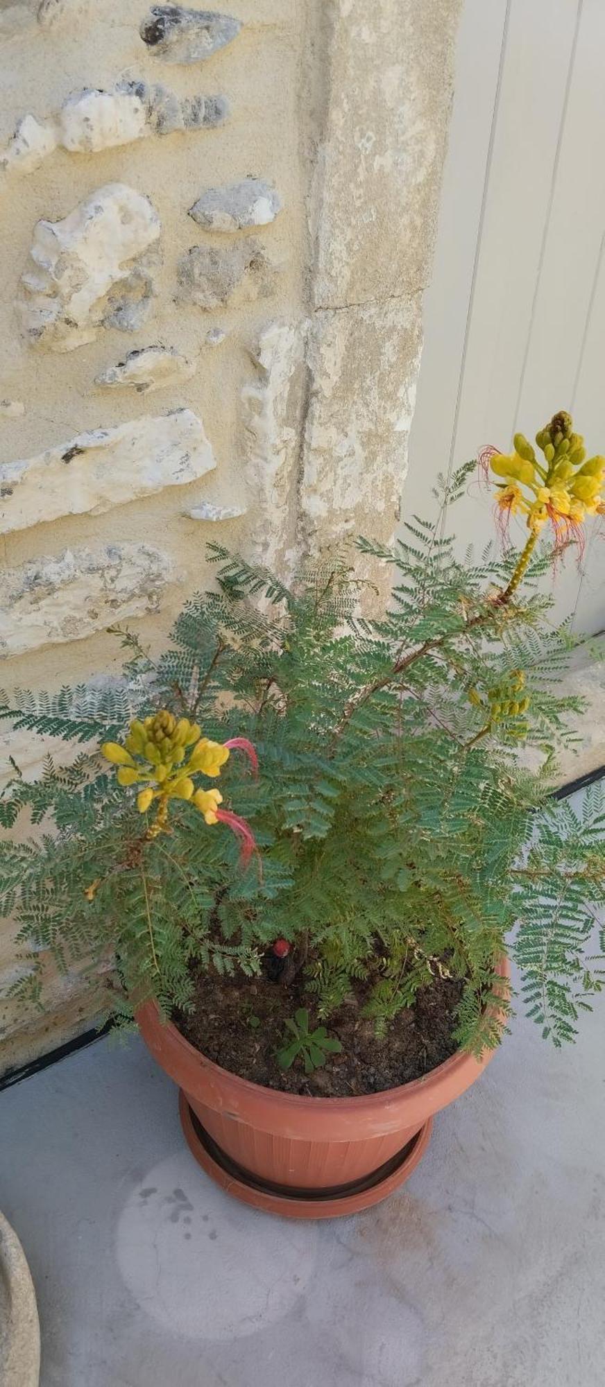 فيلا Namaste Family House Pombia المظهر الخارجي الصورة